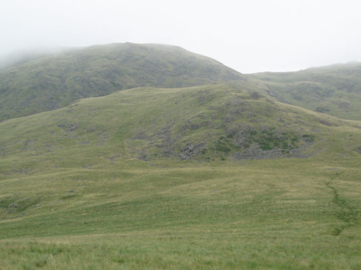 White Pike White Pike